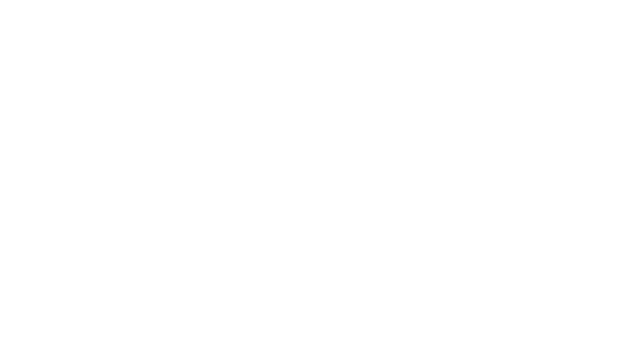 Carl Makes Media